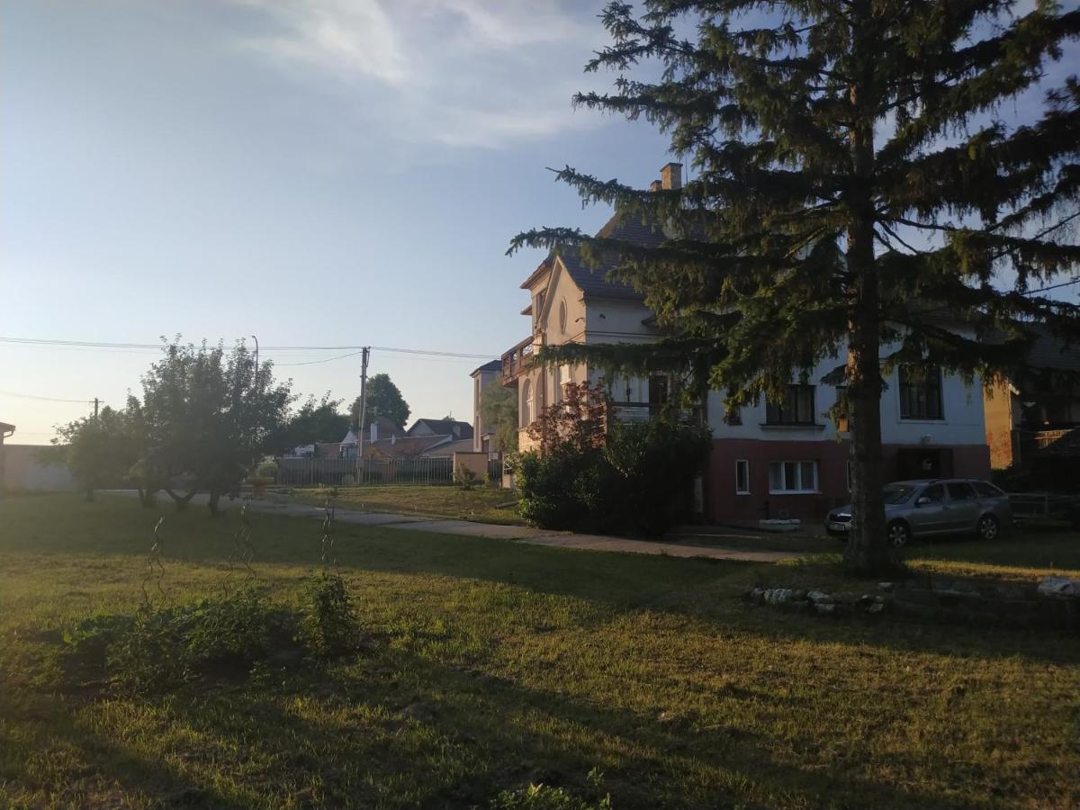U Nas Ve Vile Guest House Cejc Exterior photo